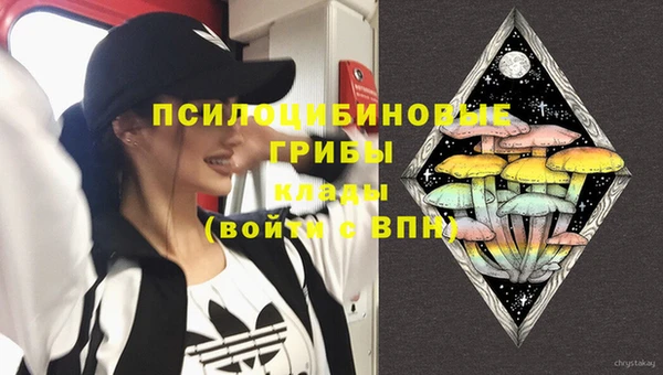прущая мука Карпинск