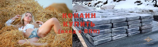 дурь Касимов
