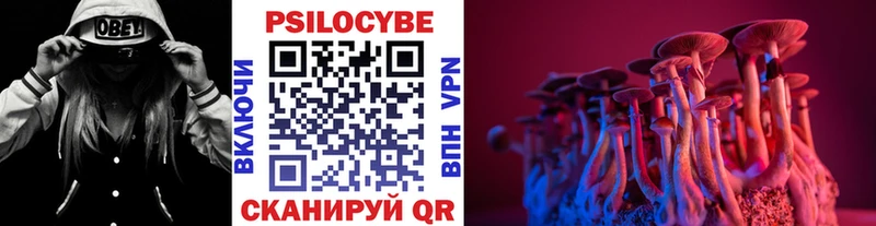 Псилоцибиновые грибы прущие грибы  Купить закладки  Макарьев 